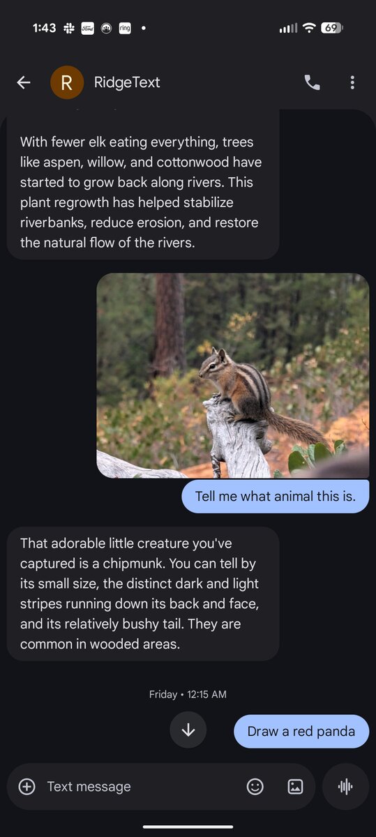 SMS conversation with RidgeText showing image analysis and AI responses